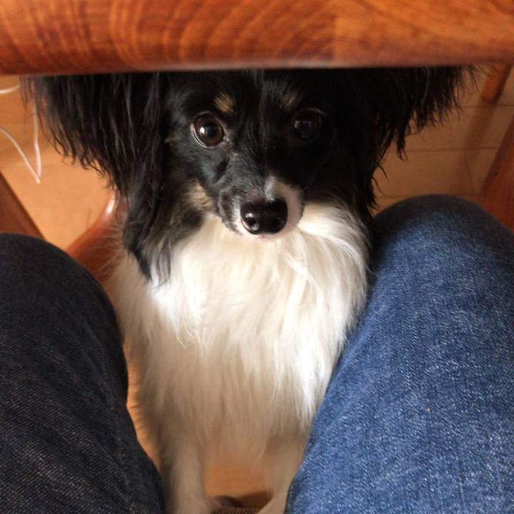 6060d759 c6fe 4230 89ae d5513157818f