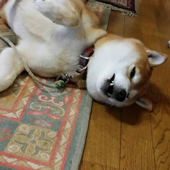 60611c67 af08 4a96 a91c 47edcf17ebf4