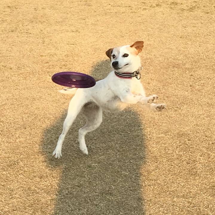 60612254 c276 47e6 bd5a e77104f9468d