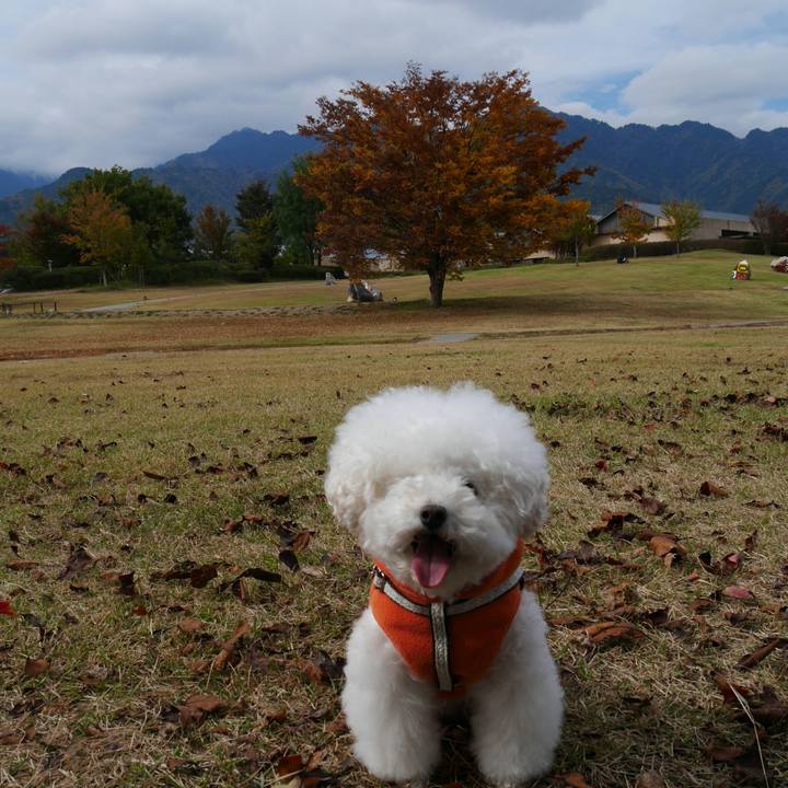 60612c49 5b96 44d9 96a5 7cb5ddff8e1d