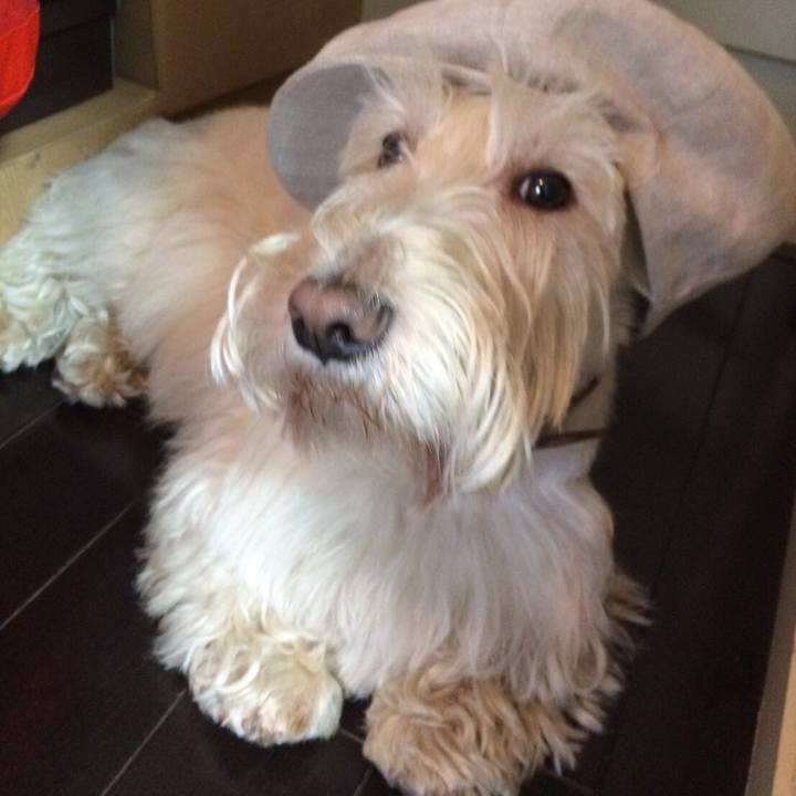 60615e60 c7ca 456f 890b 31d5766f5059