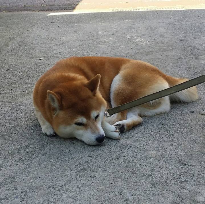 6061e462 4a9b 4a97 87e5 161b3c50cfce