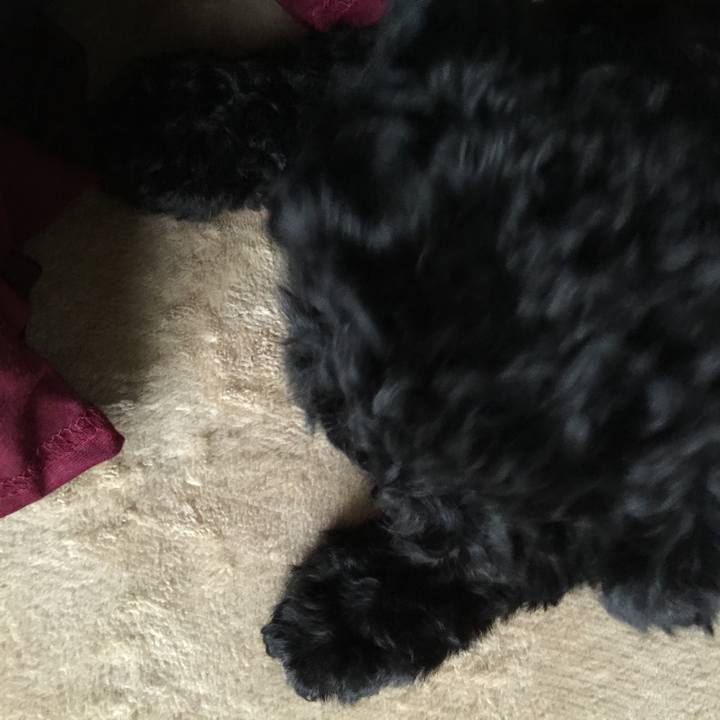 6061efd5 95b6 4eb9 a5f7 b75c436dae2c