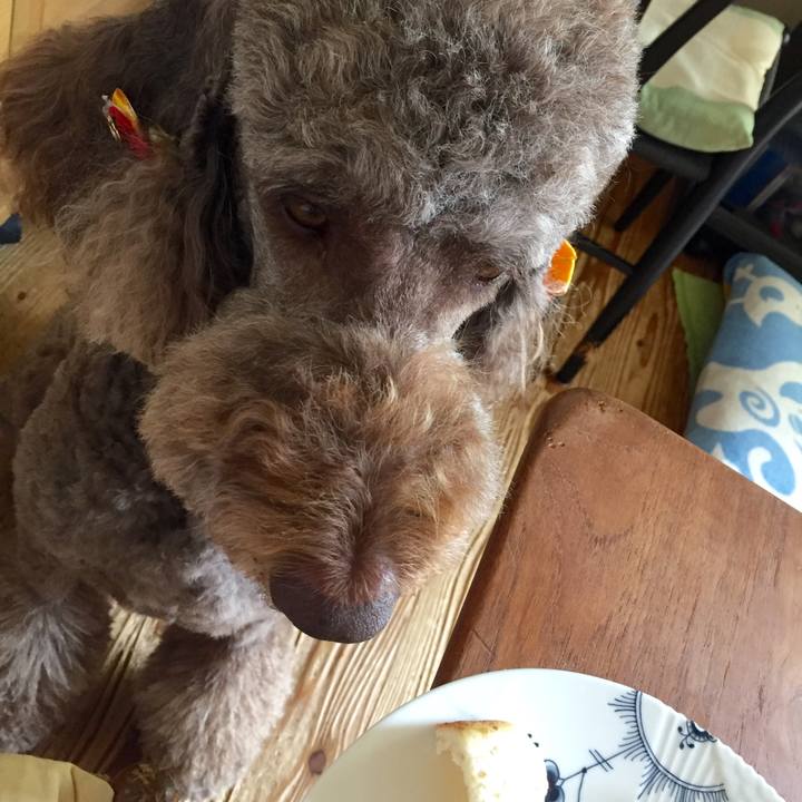 6062547b b157 45cb 801c eb81de678a92