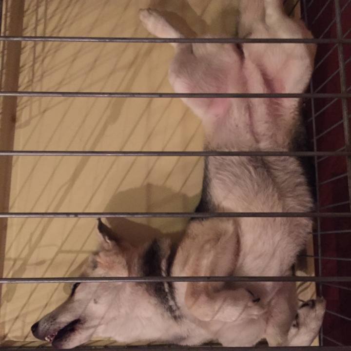 60638bc5 6de8 461b 95be 09977747318f