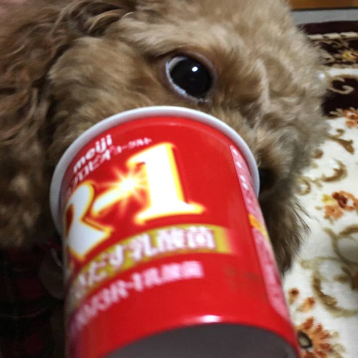 6064da9d f650 4e86 b9d6 91a851c0ae2b