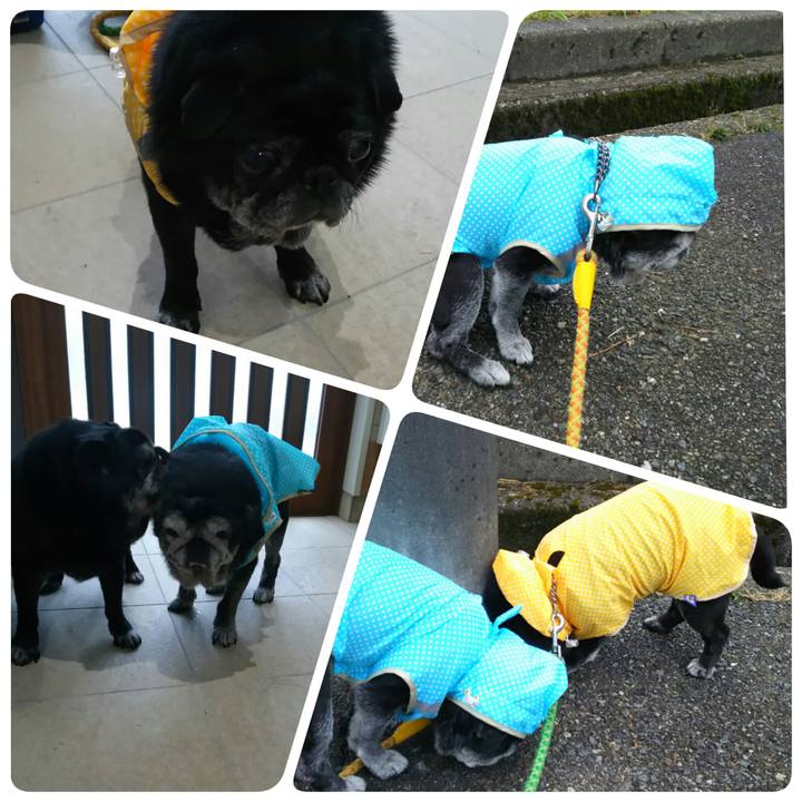 60653bec 7d23 4c29 bfac 60c070e4cf14