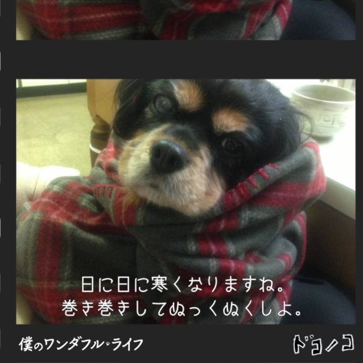 6065bf34 148d 404a 83c1 3169f56be87d