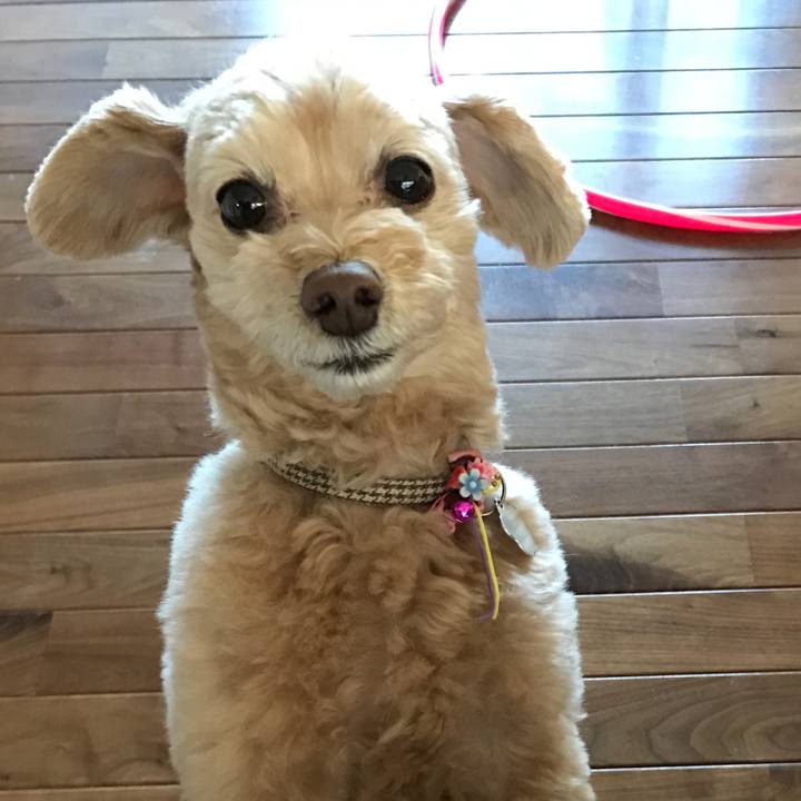 60663fae 32dd 4b0e 82b5 ff8c7771ba8c