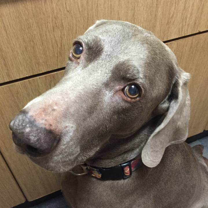 606680ee 540a 479f 941d 1bf8e4cbaa03