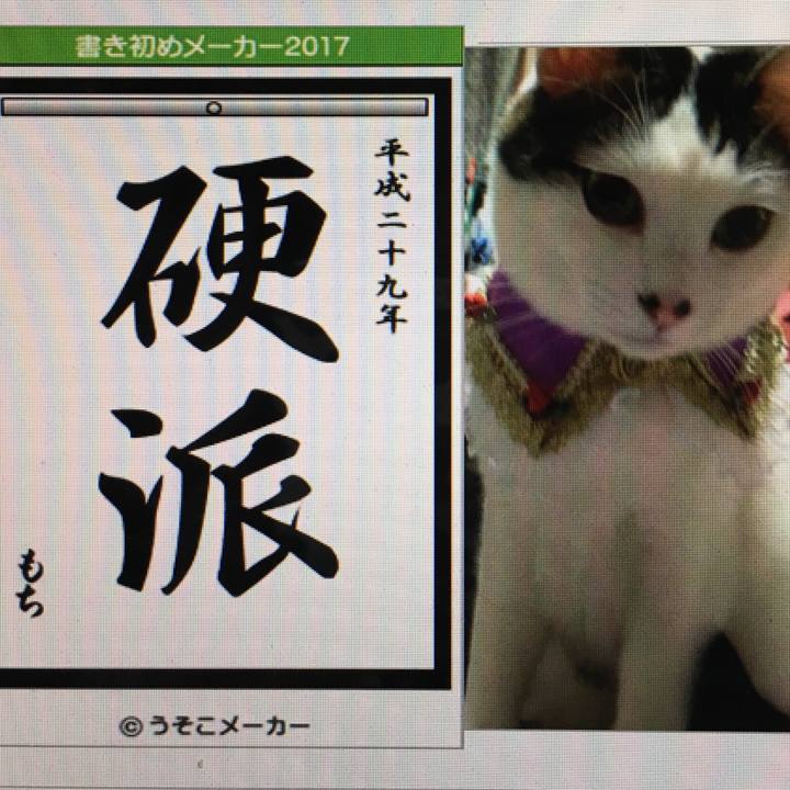 60668741 a8fe 4252 9ff1 f670107a8a83