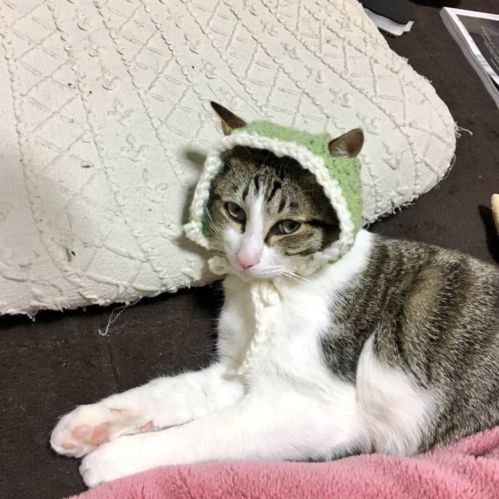 606721a1 491b 429a be0f eba3ca8d6321