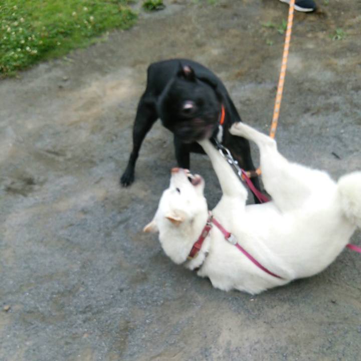 6067244b e5f6 4fad 8ef8 cb2af0ab6be7