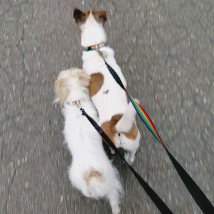 6067892d 10ac 44a2 8afd 1e4913bacfcc