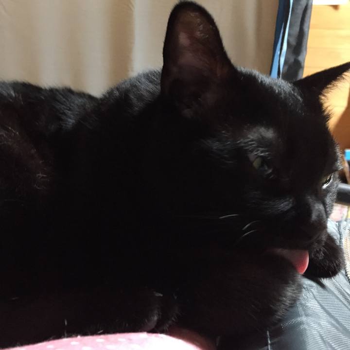 6067aa15 a979 428d a5e5 bd53ac5dabe2