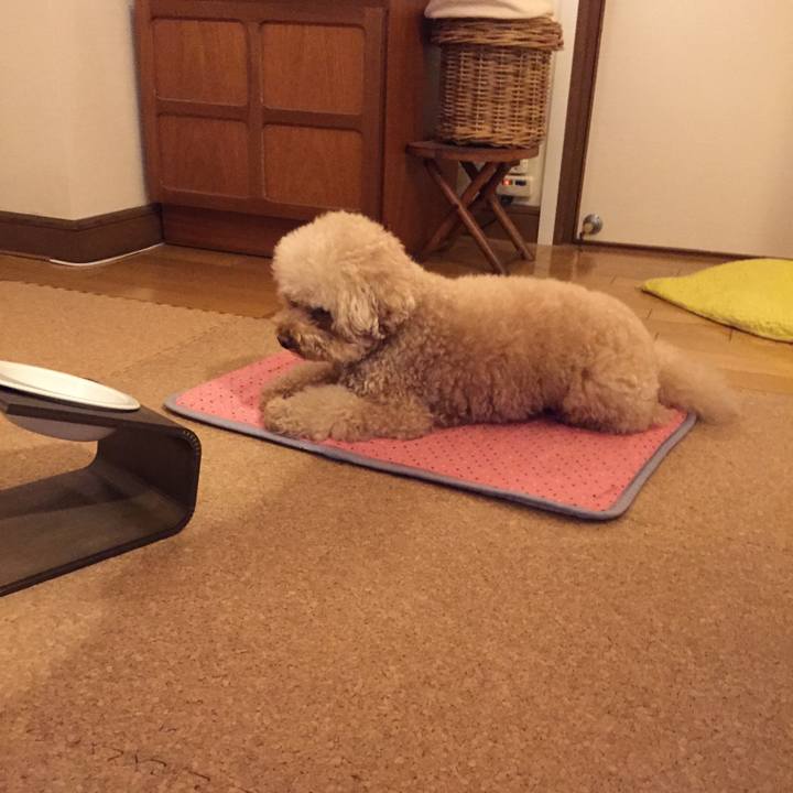 6067c84f de66 4044 b133 64e26eaa7d60