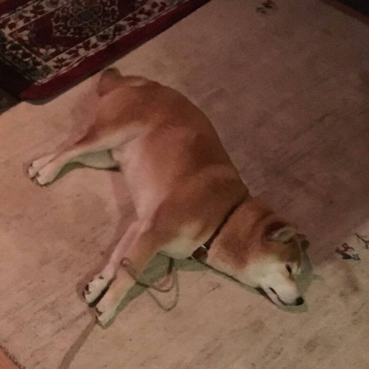 606875a5 946d 4ad2 b7c6 34b2360fed71