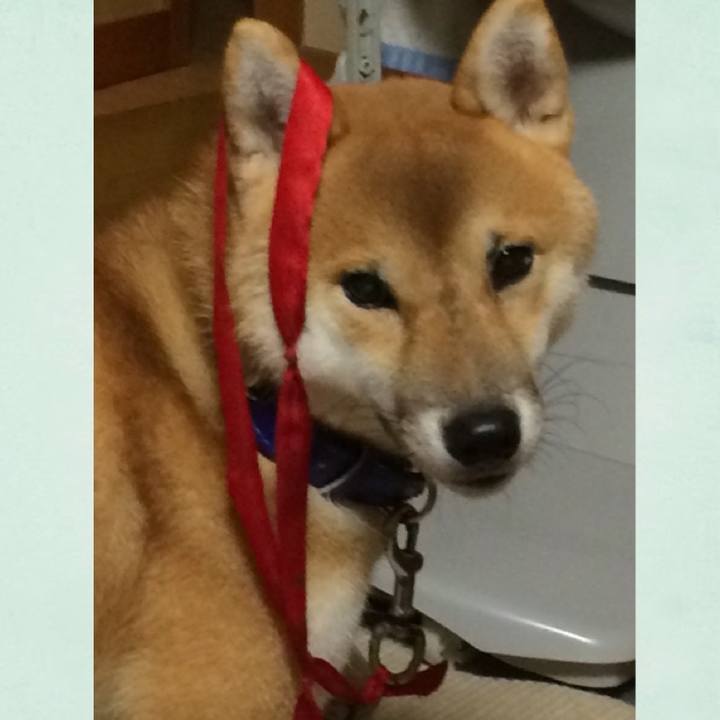 6068d4d7 7a68 4980 bb3a 4b49124d3960