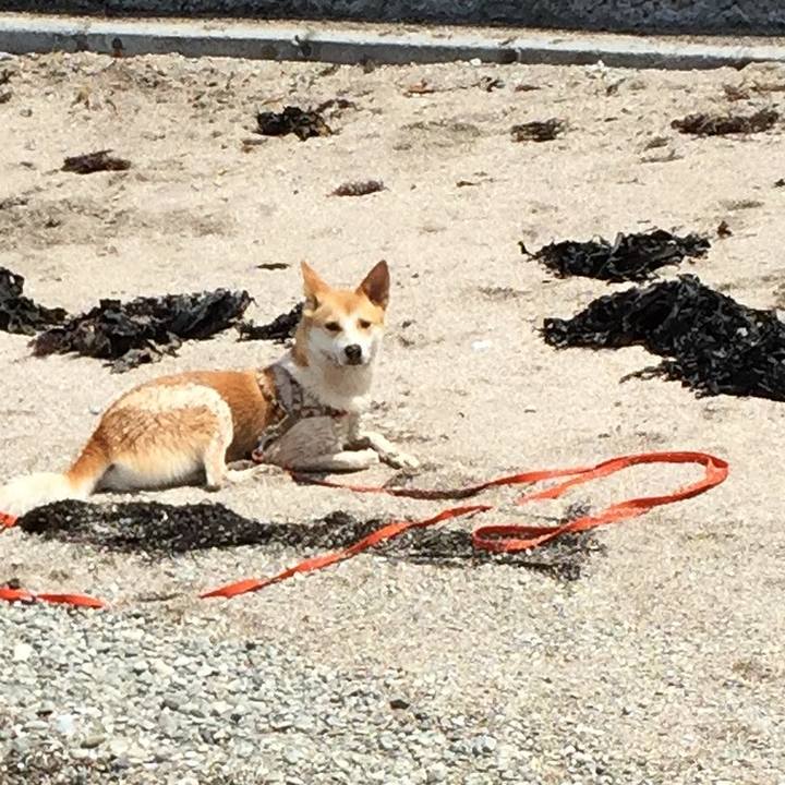 6069154d ca3d 4e22 9094 a5623fc29869