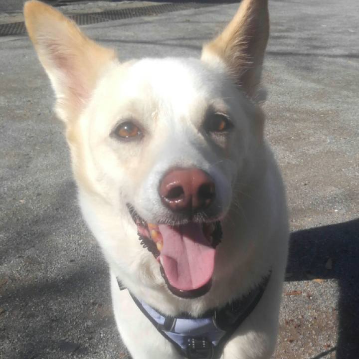 6069899c 64c1 46aa 8456 b93a2ef114d4