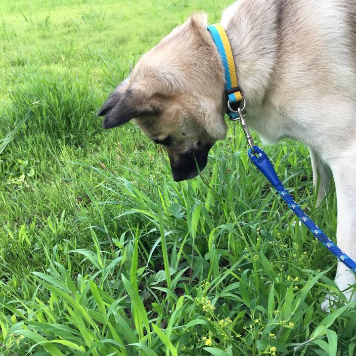 606ba807 3f4a 40cc a579 f3f28a811e9d