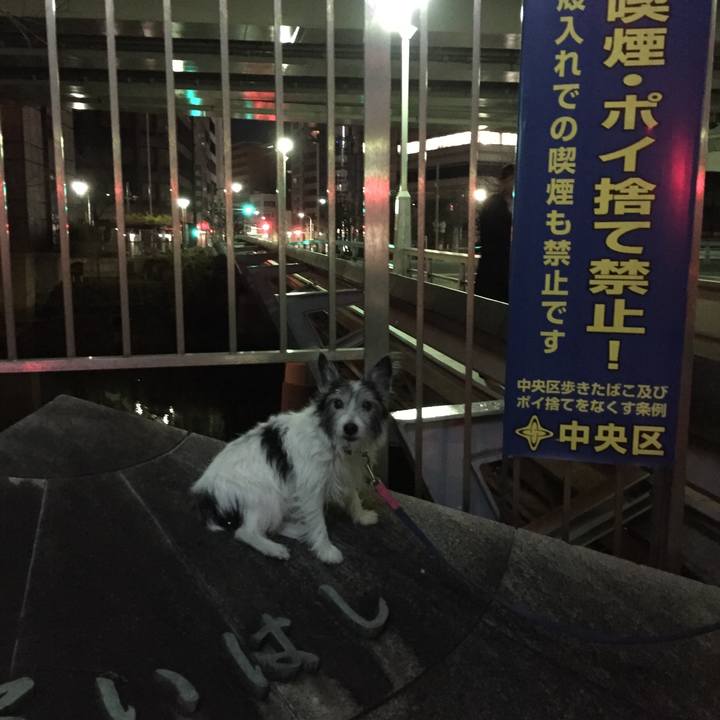 606bb430 c216 493c ab9e efb2378b9f9f