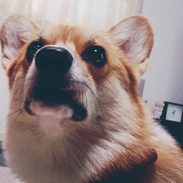 606c5d0d 102d 4f59 9e2d e4906eae8482