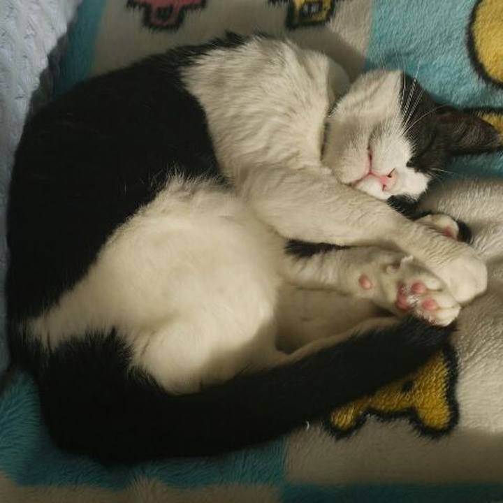 606c7d8c 820d 4588 a250 c849ba798525