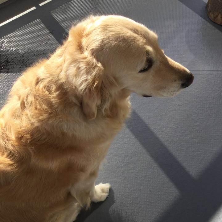 606d2d5b 4768 45e2 ae0a 1dd05aa33d75