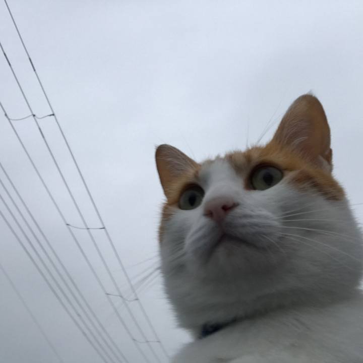 606d89fb 750b 46a7 a040 e3924dc54438