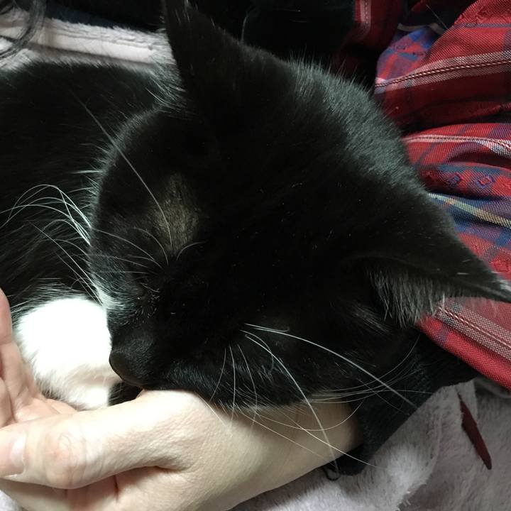 606d9af8 e2c1 4935 9bc1 f8d2aba67e5c