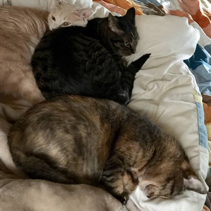 606f1cd7 d5fe 4dbc 8495 a801b82a5b2b