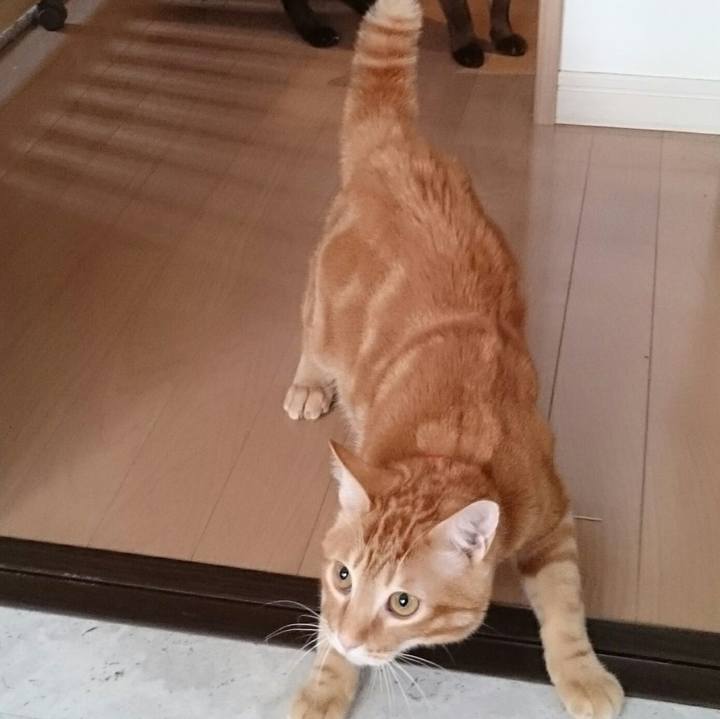 606f4ea3 d310 4020 8937 ff9c6426a255