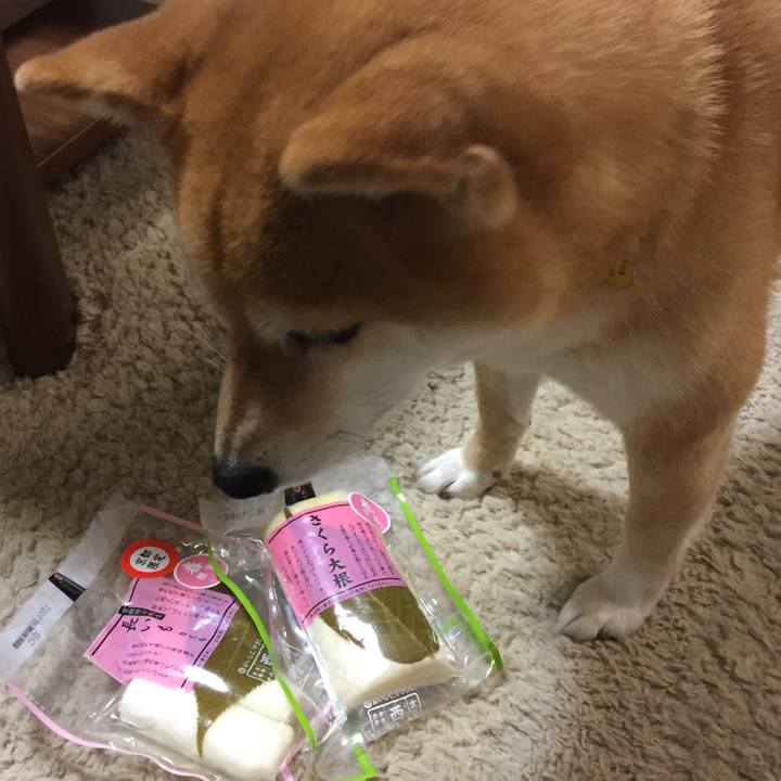 606f93e7 2653 4c45 a81d b0f666e8789c