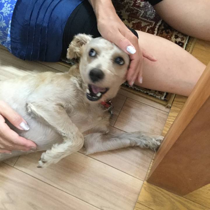 60706491 427d 411a 9fb7 1de57f0dc00e