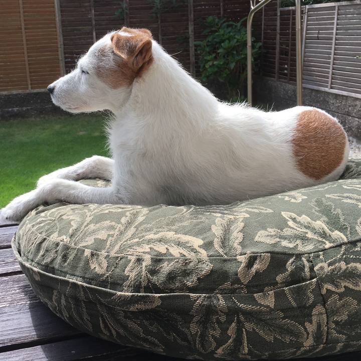 60708ad2 8d50 4d8f 83c9 0cabf1031563