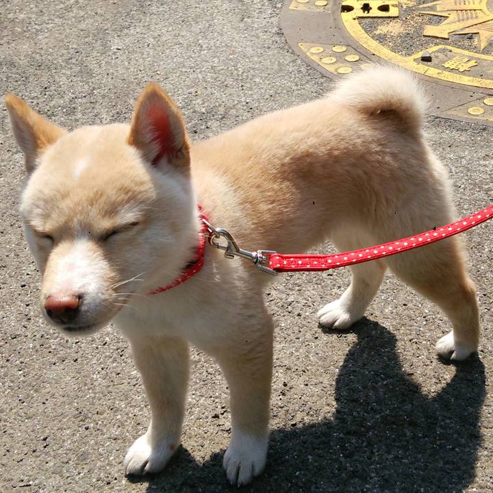 6071363b 2f37 4350 ba5c 6de13f7b8102