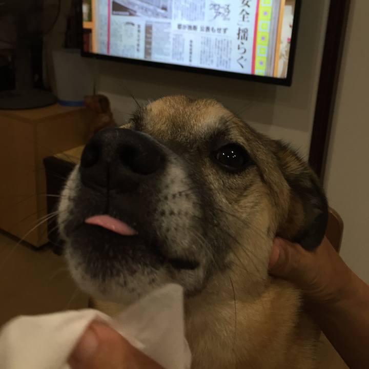 607145c7 dd30 4392 b51b 548b1650077b