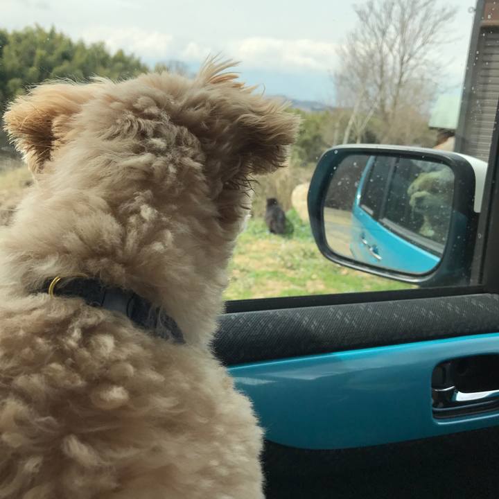 6071612b d9e4 40c2 85e6 80a41780b6a7