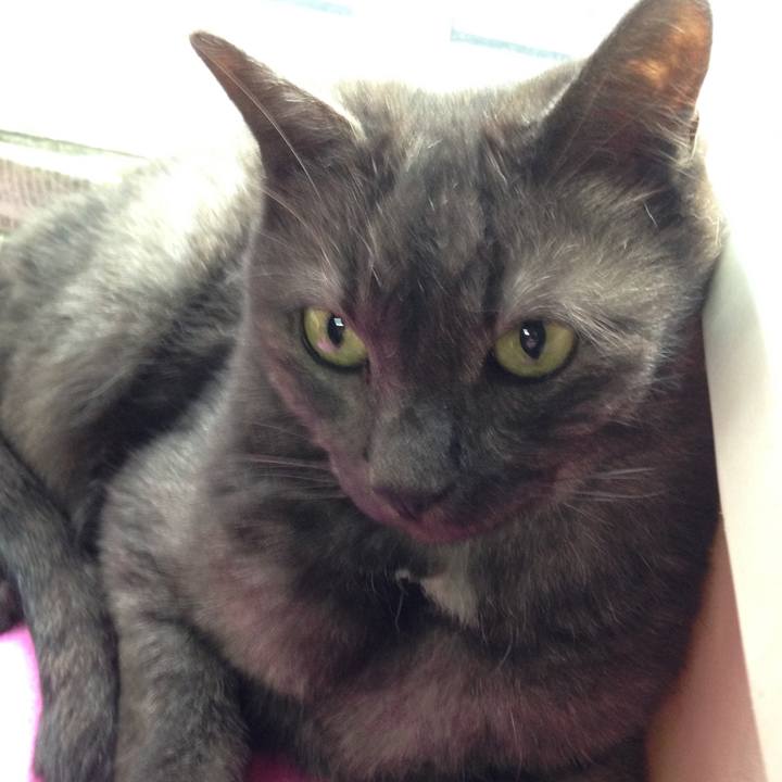 6071ed15 e207 45f6 956e 319f8fc05109