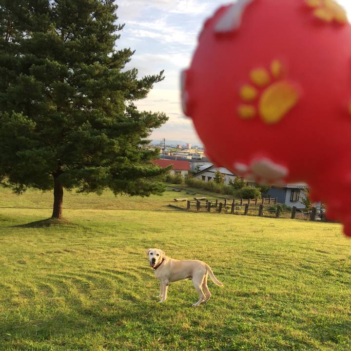 607208a4 7096 4411 a9f6 cdc3988faf09