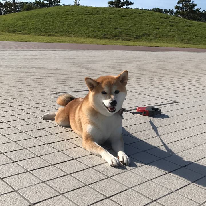 6072ad59 2837 4adc ac54 f3e89cc088db