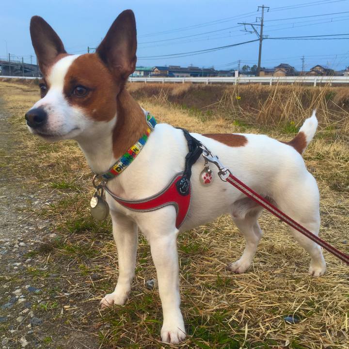 6072add2 2678 4551 841d 0ba8c12b4c69