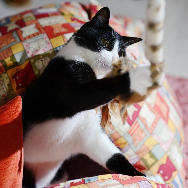 6072fbce e4e3 465a bd69 9703e24042fd