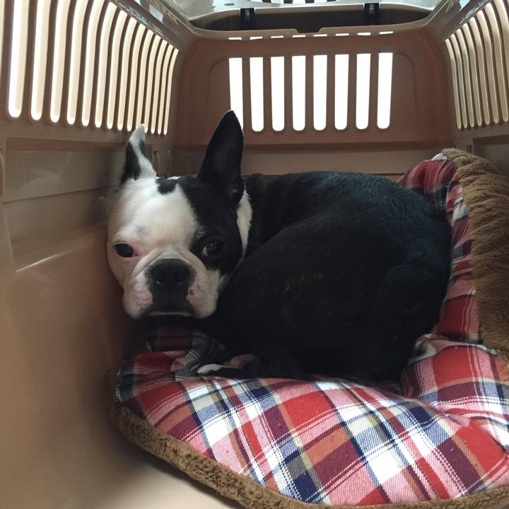 6073033e 0358 463e a319 b741cf0385fb