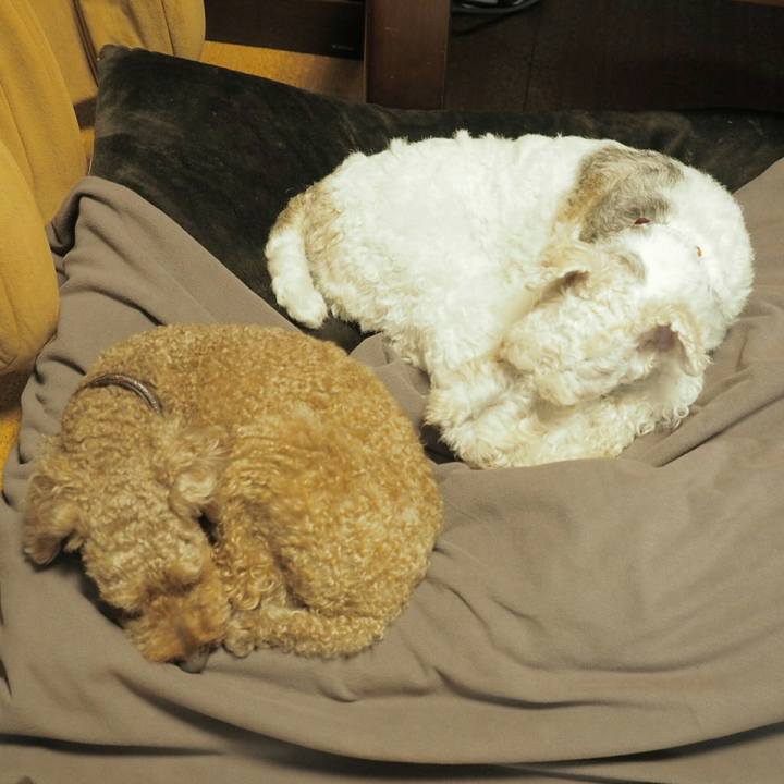 60731129 7384 4c90 aae2 aedab912dee9