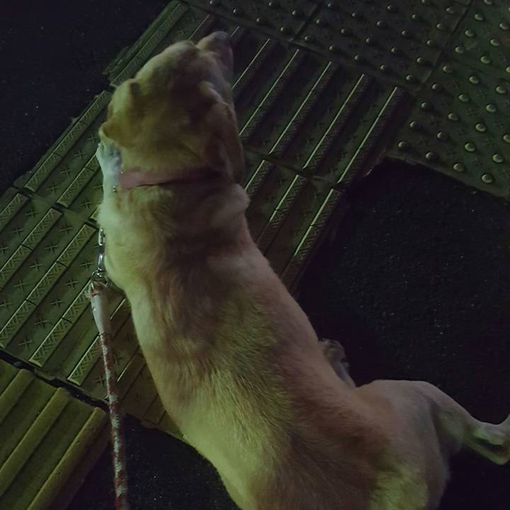 60733459 6ce4 40de bb0a 690ab3369a85