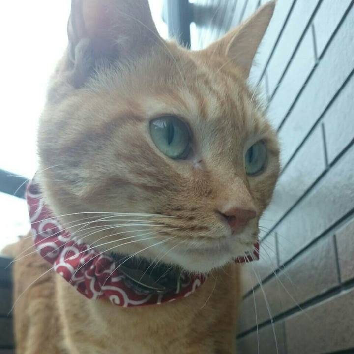 60737670 dd83 4a72 b409 a58b7b916df9