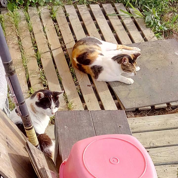 60741225 0272 482c b25b 6962b843efd9