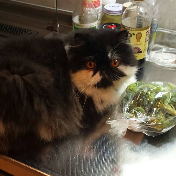 6074f08f 11b4 4d12 adfb c17bfa082195